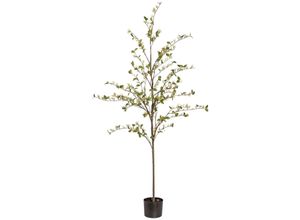 4003529216040 - Kunstpflanze CREATIV GREEN Viburnum Kunstpflanzen Gr H 180 cm 1 St grün Künstliche Zimmerpflanzen