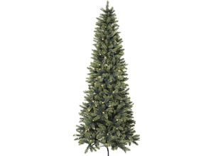 4003529217863 - LED-Tannenbaum schlank inklusive Ständer Höhe 1800 mm mit 250 LEDs