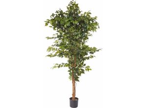 4003529309773 - Kunstpflanze CREATIV GREEN Ficus Benjamini Kunstpflanzen Gr B H 23 cm x 150 cm 1 St grün Kunstpflanze Künstliche Zimmerpflanzen Kunstpflanzen