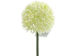 4003529569085 - GASPER Zierlauch - Allium Cremeweiß Ø 7 cm - Kunstblumen