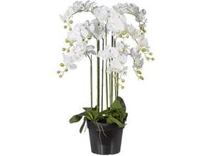 4003529780992 - Kunstblume Orchidee ca 110cm