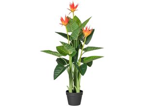 4003529786567 - Kunstpflanze CREATIV GREEN Guzmania Kunstpflanzen Gr H 105 cm 1 St orange Kunstpflanze Zimmerpflanze Künstliche Zimmerpflanzen Kunstpflanzen