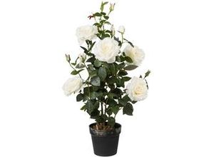 4003529818725 - Kunstpflanze Rosenstock ca 90cm