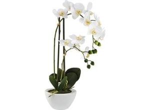 4003529849903 - Kunstpflanze Orchidee in Weiß