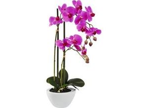 4003529849910 - Kunstpflanze Orchidee