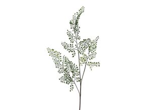 4003529850756 - Kunstpflanze Adianthumzweig