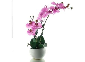 4003529894347 - Schmetterlingsorchidee - Phalaenopsis Lila 48 cm - Kunstpflanzen - Gasper