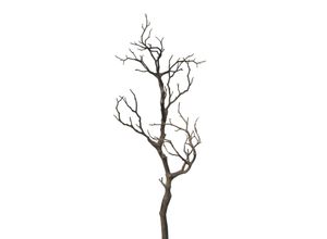 4003529895702 - Kunstpflanze Dekoast