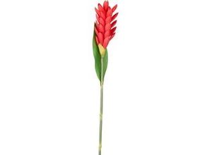 4003529898253 - Kunstblume Siam Tulpe in Rot