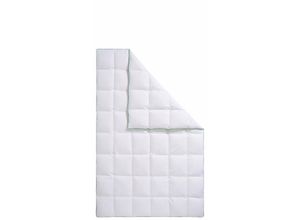 4003589040272 - Daunenbettdecke FJÖDUR Fee Bettdecken Gr B L 240 cm x 220 cm normal weiß Allergiker Bettdecke