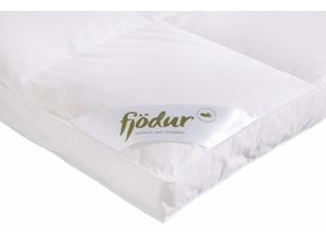 4003589040708 - Federbettdecke FJÖDUR Finn Bettdecken Gr B L 155 cm x 220 cm e x trawarm weiß Allergiker Bettdecke