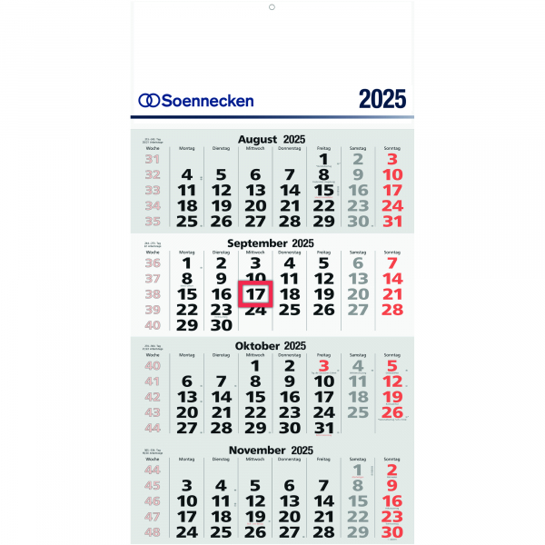 4003630033253 - Viermonatskalender 5097-25 4 Monate 1 Seite 30x60cm 2025 4003630033253 Soennecken 4003630033253 - Viermonatskalender 5097-25 4 Monate 1 Seite 30x60cm 2025 4003630033253 Soennecken