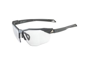 4003692321091 - ALPINA Herren Radbrille Twist Six HR Vario grau A8719121