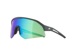 4003692322777 - ALPINA Damen Radbrille Sonic HR Q-Lite grau A8734021