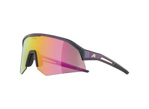 4003692322845 - ALPINA SONIC HR Q-LITE Brille in black-purple metallic matt