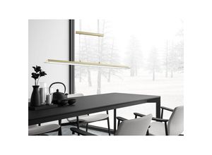 4003694605625 - Fischer&honsel - led Pendelleuchte tenso Messing 100cm höhenverstellbar & Tageslicht Kaltweiß