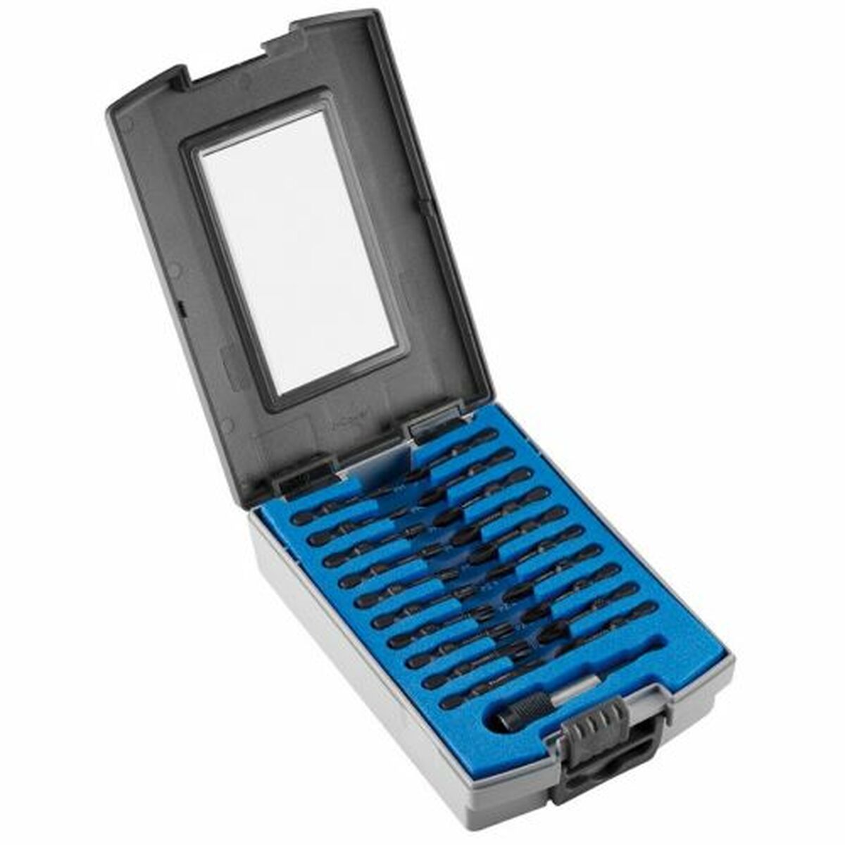 4003955321929 - Satz von Spitzen WITTE BIT-BOX PH1 PH2 PZ1 PZ2 TX PH3 PZ3 21 Stücke