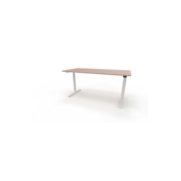 4003969124028 - Sitz-Steh-Schreibtisch selab e-desk 815018631 elektrisch höhenverstellbar 65-128cm (H) 160x80cm (BxT) rechteckig antikrose 