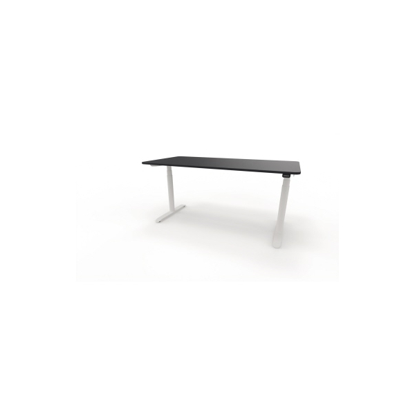 4003969124219 - Sitz-Steh-Schreibtisch selab e-desk 815018690 elektrisch höhenverstellbar 65-128cm (H) 160x80cm (BxT) rechteckig schwarz   