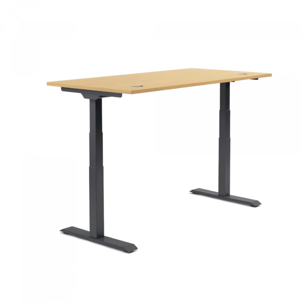 4003969134492 - Sitz-Steh-Schreibtisch Flex Modul 810061672 elektrisch höhenverstellbar 605-1255cm (H) 160x80cm (BxT) rechteckig buche   S