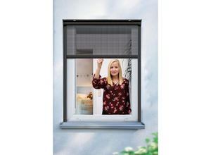 4003971708957 - SCHELLENBERG Insektenschutz-Rollo für Fenster Fliegengitter verschraubt Rollos in verschiedenen Farben und Größen erhältlich Gr 160 cm 160 cm grau (anthrazit) Rollos