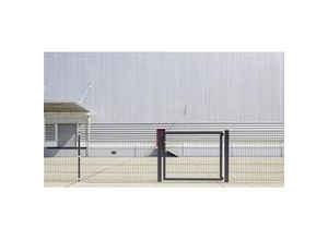 4004338636326 - Alberts Einzeltor Flexo Plus anthrazit 200 x 180 cm