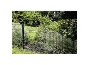 4004338667481 - Alberts Doppelstabmatten-Grundset Nexus 200 x 100 cm 10 m anthrazit