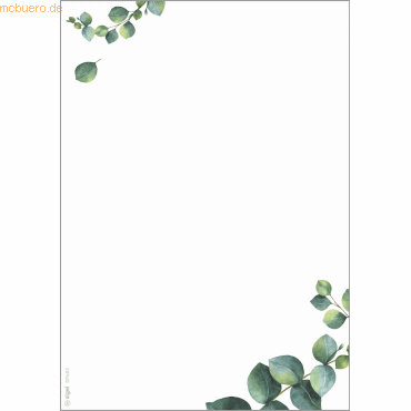 4004360770791 - SIGEL Motivpapier weißgrün DIN A5 90 g m² 100 Blatt 4004360770791 - SIGEL Motivpapier weißgrün DIN A5 90 g m² 100 Blatt