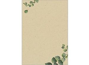 4004360785436 - Eucalyptus Briefpapier Braun 100 Blatt