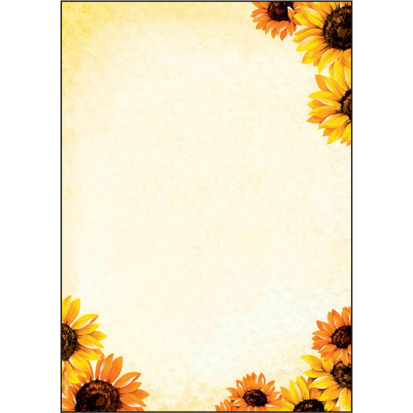 4004360814006 - Motivpapier Field of Sun Motiv DIN A4 90 g qm 4004360814006 50 Blatt