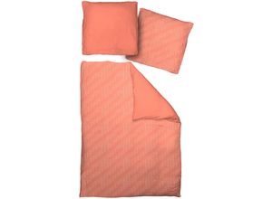 4004567184179 - Bettwäsche ADAM Argentinian Criolla Gr B L 135 cm x 200 cm (1 St) B L 80 cm x 80 cm (1 St) Renforcé orange Renforcé-Bettwäsche mit Palmenmuster