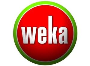 4004581485573 - Weka Sitzkissen Rückauflage für Merano und Bozen