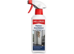 4004666001391 - Gmbh - Flächendesinfektion Reiniger Spray 025 l