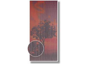 4004947363125 - Decona Sunrise Dekovorhang bunt - Conacord