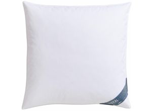 4005029081722 - Federkopfkissen HAEUSSLING Kristall Edition Kopfkissen Gr B L 80 cm x 80 cm Baumwolle 1 St weiß Allergiker Kopfkissen