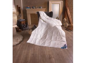 4005029092179 - Daunenbettdecke HAEUSSLING Hjemme Hygge Bettdecken Gr B L 135 cm x 200 cm leicht weiß Sommerbettdecke