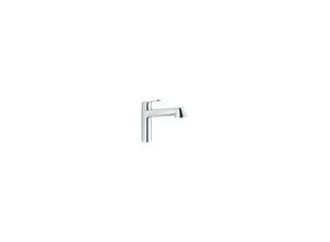 4005176886591 - Eurodisc Cosmopolitan Spültischarm flacher Auslauf Spülbrause auszb chrom EC32257002 - Grohe