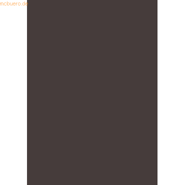 4005329053269 - 10 x Plakatkarton 380g qm 48x68cm schwarz