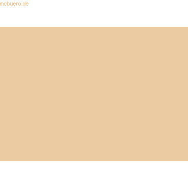 4005329054907 - 25 x Tonpapier 130g qm 50x70cm apricot