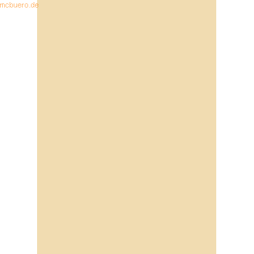 4005329055805 - 100 x Tonpapier 130g qm A4 (21x30cm) beige