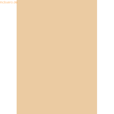 4005329055867 - 100 x Tonpapier 130g qm A4 (21x30cm) apricot