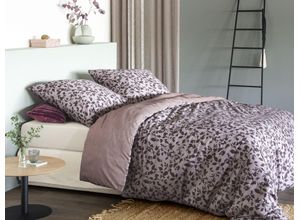 4005367109294 - Wendebettwäsche IRISETTE Angel 8433 Bettwäsche Gr B L 155 cm x 220 cm (1 St) B L 80 cm x 80 cm (1 St) Jersey lila (beere) Bettwäsche 155x220 cm hochwertig und traumhaft weich 4005367109294 - Wendebettwäsche IRISETTE Angel 8433 Bettwäsche Gr B L 155 cm x 220 cm (1 St) B L 80 cm x 80 cm (1 St) Jersey lila (beere) Bettwäsche 155x220 cm hochwertig und traumhaft weich