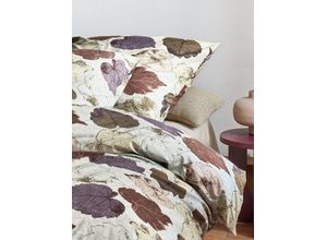 4005367118067 - Bettwäsche IRISETTE Koala 8533 Gr B L 155 cm x 200 cm 1 St 1 St Feinbiber B L 80 cm x 80 cm rosegold (kupfer) flauschig