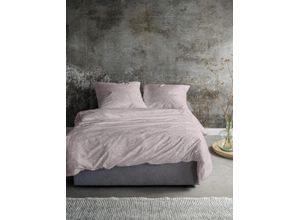 4005367118166 - Bettwäsche IRISETTE Koala 8544 Gr B L 135 cm x 200 cm 1 St 1 St Feinbiber B L 80 cm x 80 cm rosa flauschig