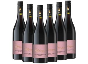 4005460801361 - Der Bötzinger - Spätburgunder Rotwein Kabinett halbtrocken - 6er Karton