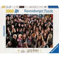 4005555004578 - Puzzle Challenge Harry Potter