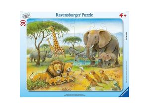 4005556061464 - Ravensburger Puzzle - Ravensburger Kinderpuzzle - 06146 Afrikas Tierwelt - Rahmenpuzzle für Kinder ab 4 Jahren mit 30 Teilen