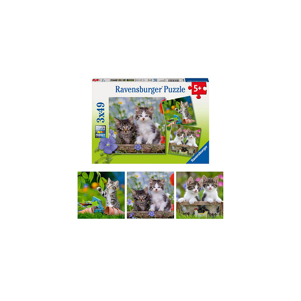 4005556080465 - Ravensburger Puzzle - Ravensburger Kinderpuzzle - 08046 Süße Samtpfötchen - Puzzle für Kinder ab 5 Jahren mit 3x49 Teilen 4005556080465 - Ravensburger Puzzle - Ravensburger Kinderpuzzle - 08046 Süße Samtpfötchen - Puzzle für Kinder ab 5 Jahren mit 3x49 Teilen