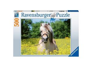 4005556150380 - Puzzle PFERD IM RAPSFELD 500-teilig