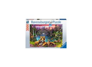 4005556167197 - Puzzle Tiger in paradiesischer Lagune 3000 Teile